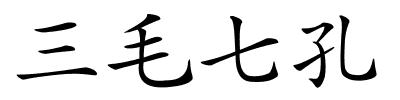 三毛七孔的解释