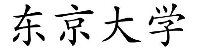 东京大学的解释