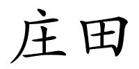 庄田的解释