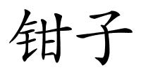 钳子的解释