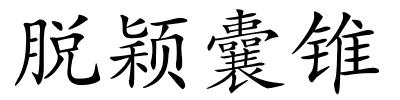 脱颖囊锥的解释