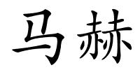 马赫的解释