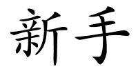 新手的解释