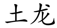 土龙的解释