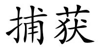 捕获的解释