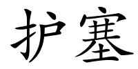 护塞的解释