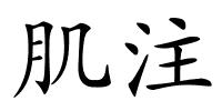 肌注的解释