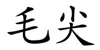 毛尖的解释