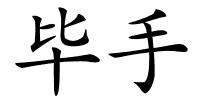 毕手的解释