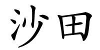 沙田的解释