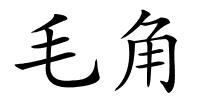 毛角的解释