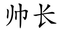 帅长的解释