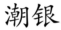 潮银的解释