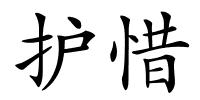 护惜的解释