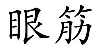 眼筋的解释