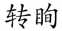 转眴的解释