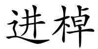 进棹的解释