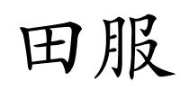 田服的解释