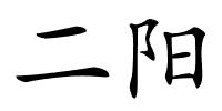 二阳的解释