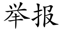 举报的解释