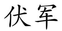 伏军的解释