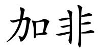 加非的解释