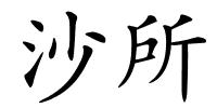 沙所的解释