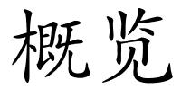 概览的解释