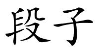 段子的解释