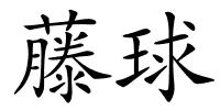 藤球的解释