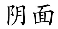 阴面的解释