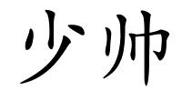 少帅的解释