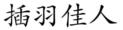 插羽佳人的解释