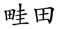 畦田的解释