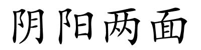 阴阳两面的解释