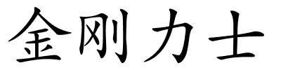 金刚力士的解释