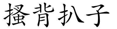 搔背扒子的解释