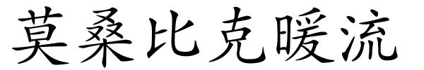 莫桑比克暖流的解释