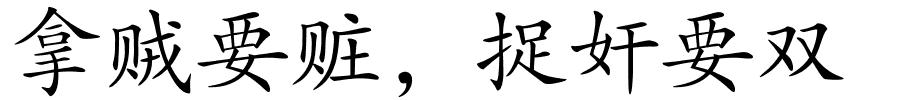 拿贼要赃，捉奸要双的解释