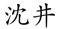 沈井的解释