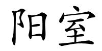 阳室的解释