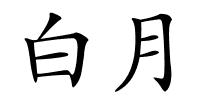 白月的解释