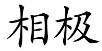 相极的解释