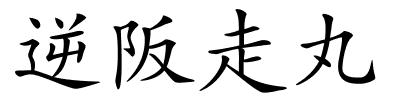 逆阪走丸的解释