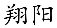 翔阳的解释