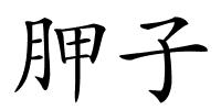 胛子的解释