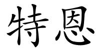 特恩的解释