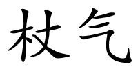 杖气的解释