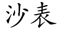 沙表的解释