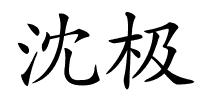 沈极的解释